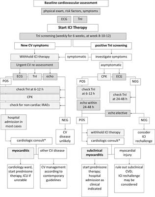 How to Monitor Cardiac Complications of Immune <mark class="highlighted">Checkpoint Inhibitor Therapy</mark>